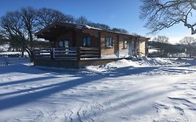 Redwood Lodge